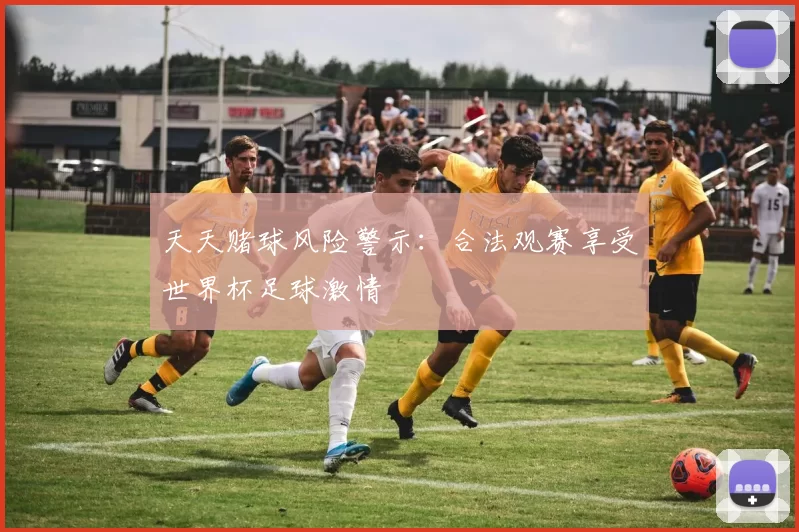 天天赌球风险警示：合法观赛享受世界杯足球激情