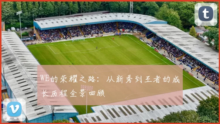 WE的荣耀之路:从新秀到王者的成长历程全景回顾