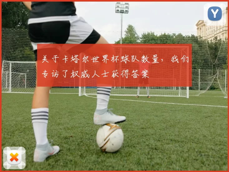 关于卡塔尔世界杯球队数量，我们专访了权威人士获得答案