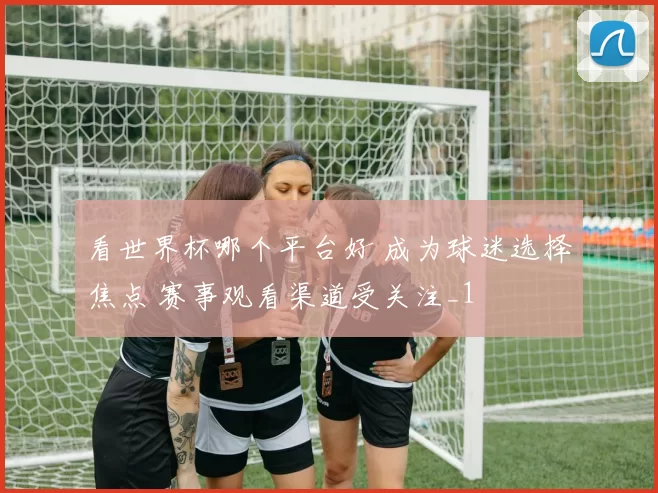 看世界杯哪个平台好 成为球迷选择焦点 赛事观看渠道受关注_1