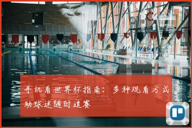 手机看世界杯指南：多种观看方式助球迷随时追赛