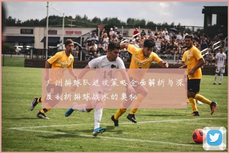 广州排球队进攻策略全面解析与深度剖析排球战术的奥秘