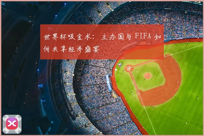 世界杯吸金术：主办国与 FIFA 如何共享经济盛宴
