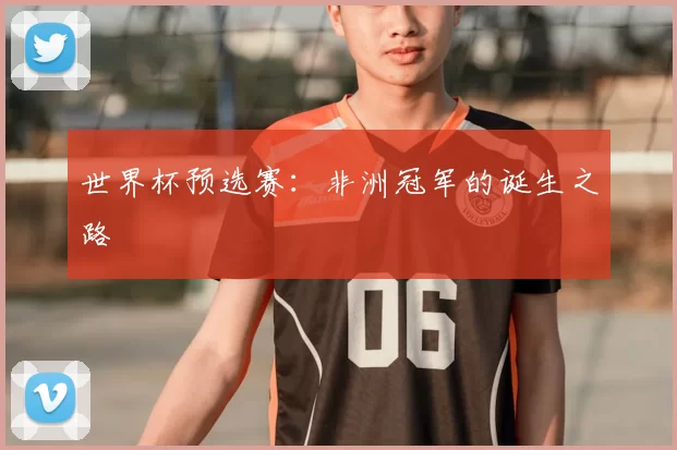 世界杯预选赛:非洲冠军的诞生之路