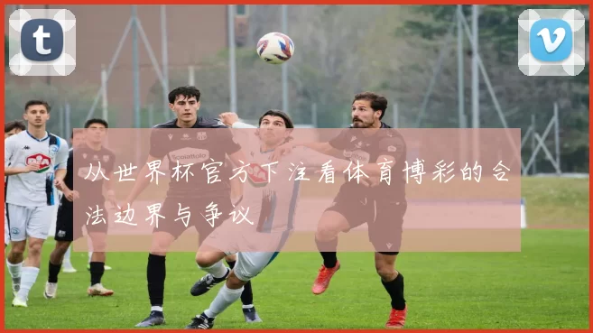 从世界杯官方下注看体育博彩的合法边界与争议